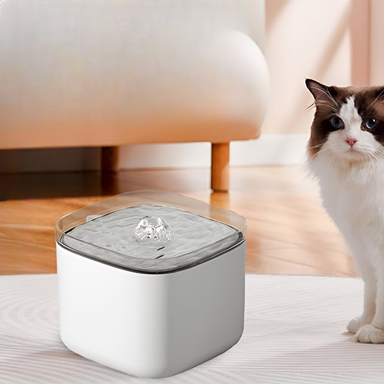 fontaine eau chat 2 couleurs