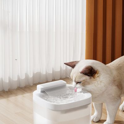 fontaine eau chat blanc marron boit