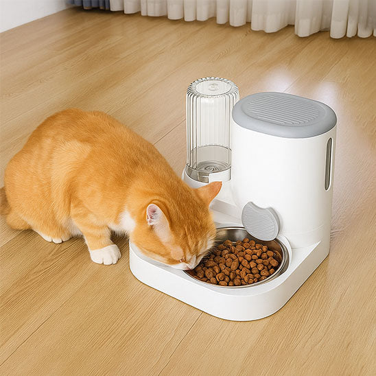 DISTRIBUTEUR DE CROQUETTES POUR CHAT - NEWMEALâą