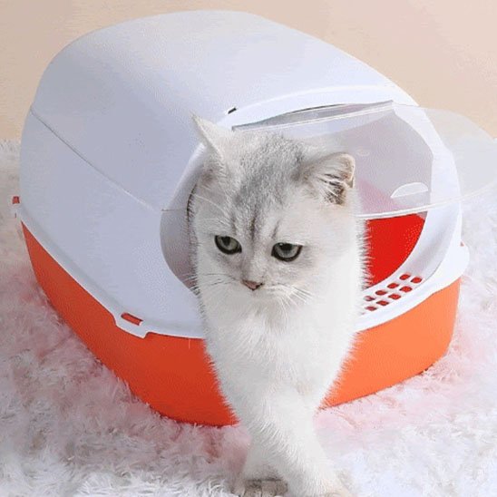 bac a liteire pour chat sort