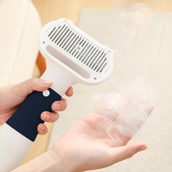 Brosse chat