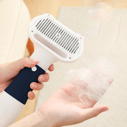 Brosse chat