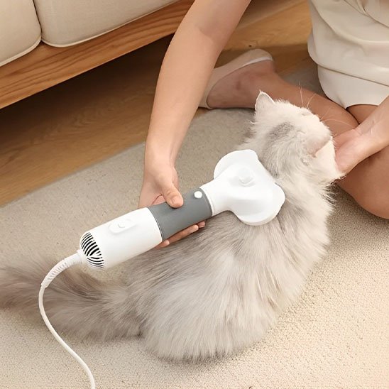 Brosse chat