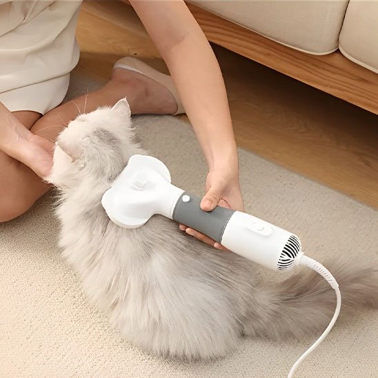 Brosse chat