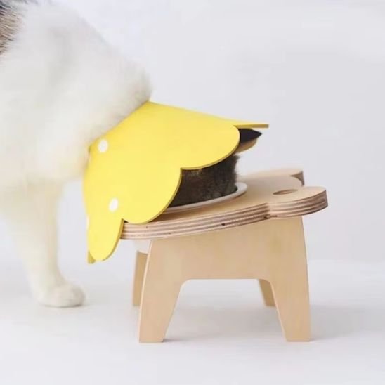 collerette chat jaune cachée
