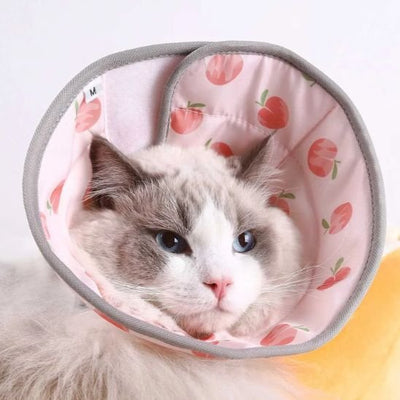 collerette chat rose gris