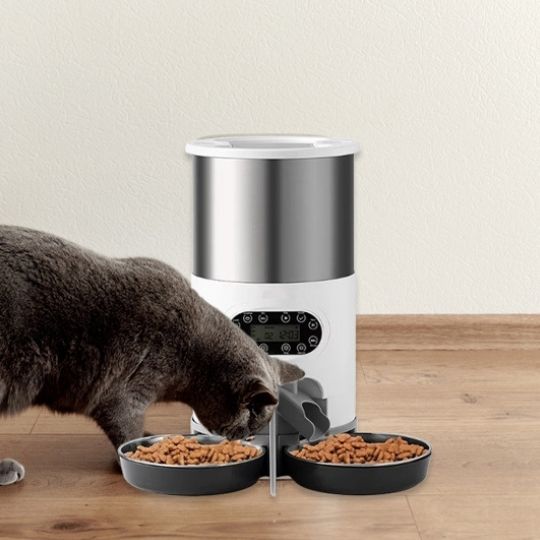distributeur automatique croquettes chat gris