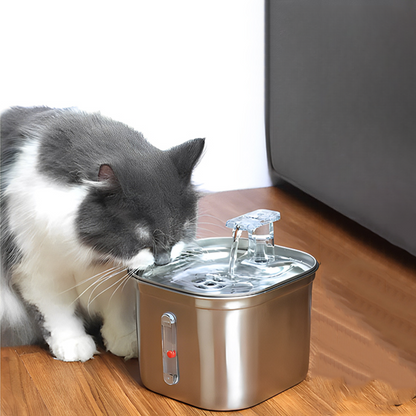 fontaine a eau chat 2 couleurs boit