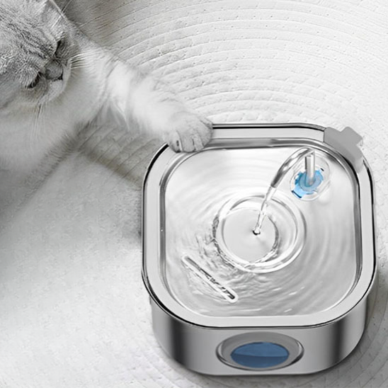 fontaine a eau chat automatique