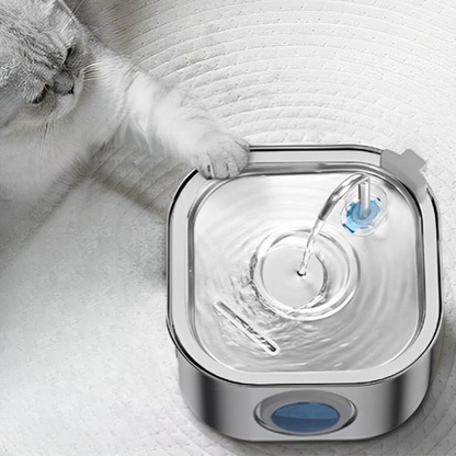 fontaine a eau chat automatique