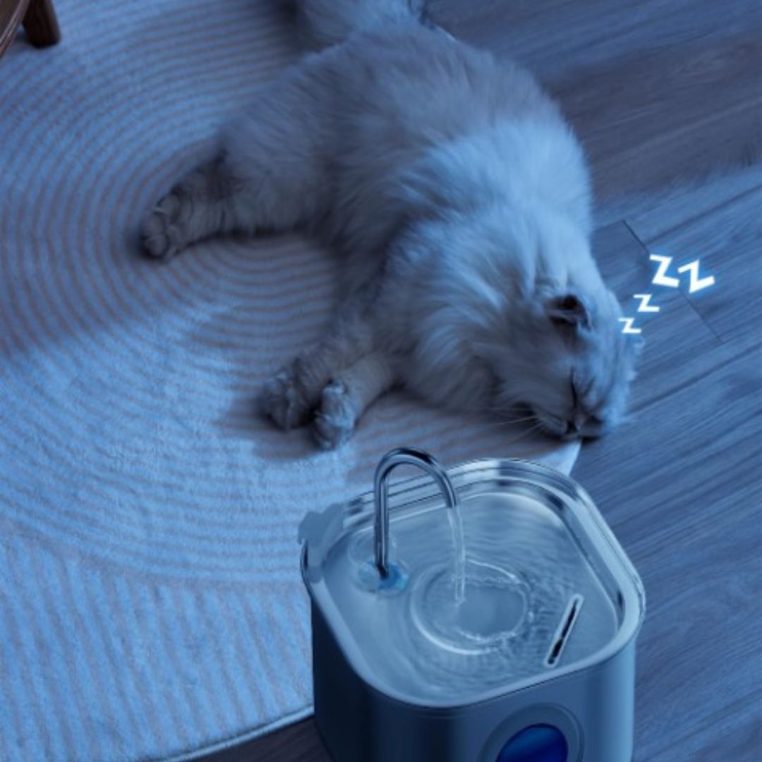 fontaine a eau chat dort