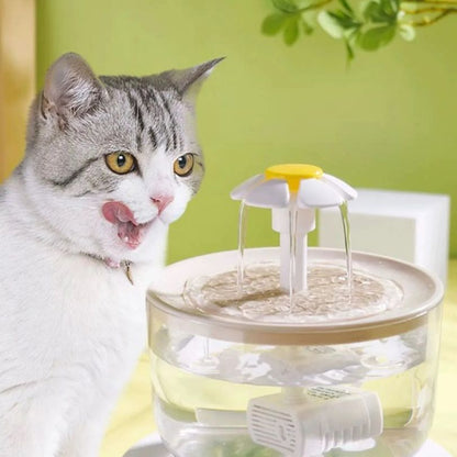 fontaine a eau chat se pourlèche