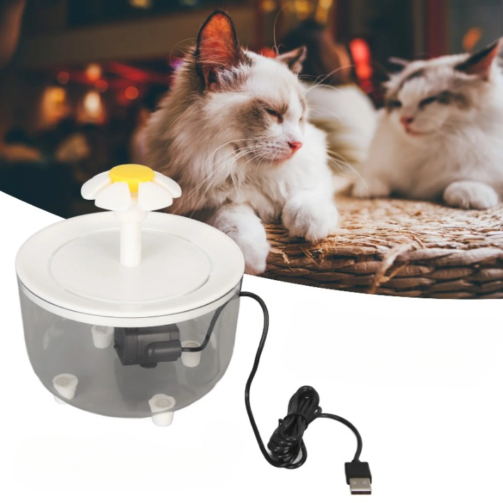 fontaine a eau chat tranquille