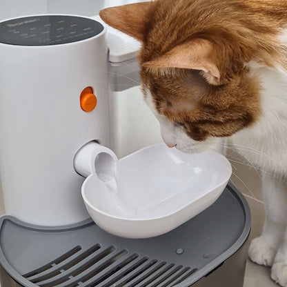 fontaine a eau pour chat 2 boit eau