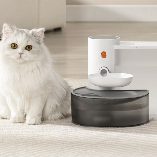 fontaine a eau pour chat 3