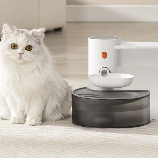 fontaine a eau pour chat 3