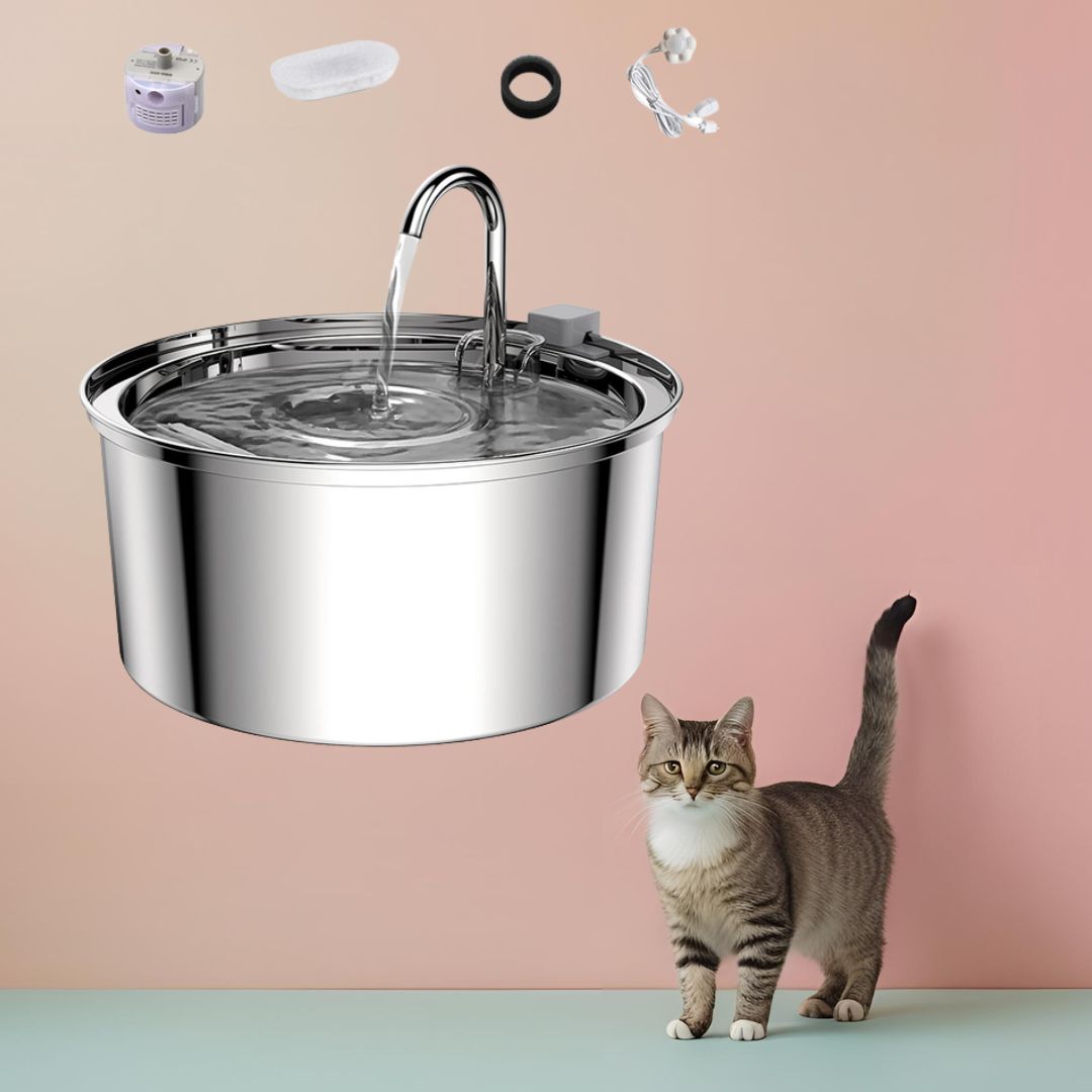 fontaine a eau pour chat accessoires