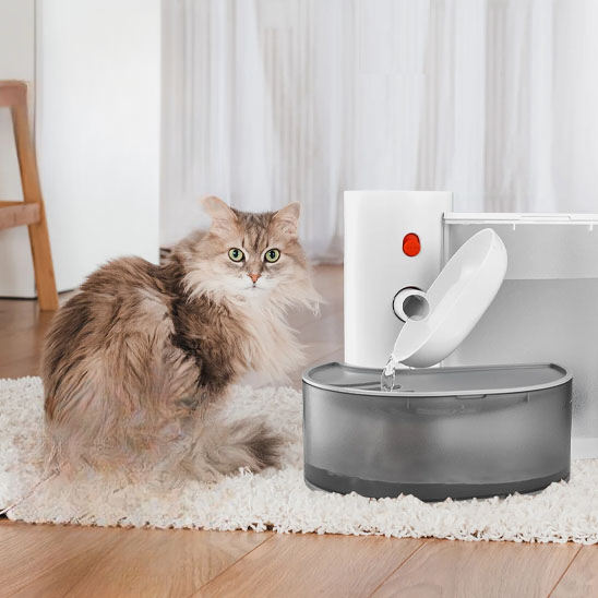 fontaine a eau pour chat action