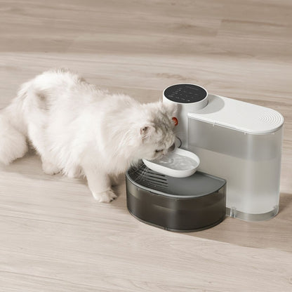 fontaine a eau pour chat boit eau