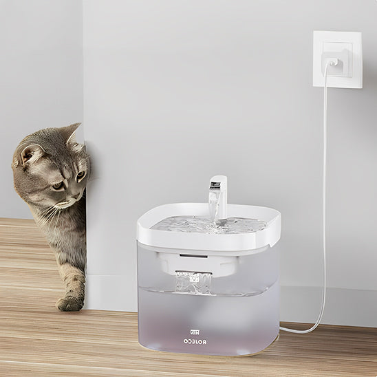 fontaine a eau pour chat caché