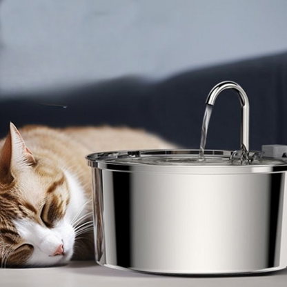 fontaine a eau pour chat dort