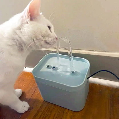 fontaine eau chat blanc boit
