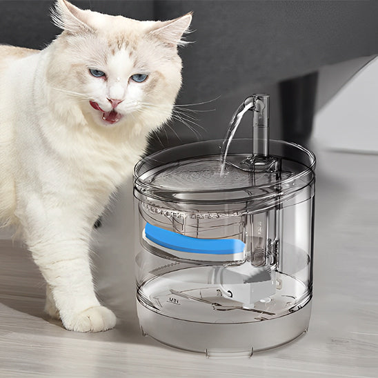 fontaine eau chat blanc leche