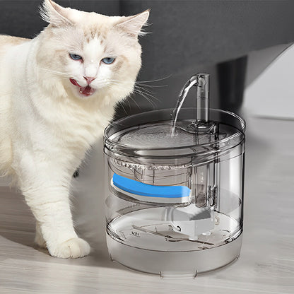 fontaine eau chat blanc leche