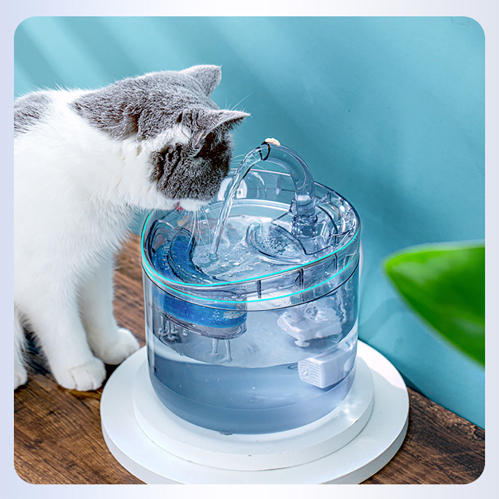 fontaine eau chat gris-blanc boit