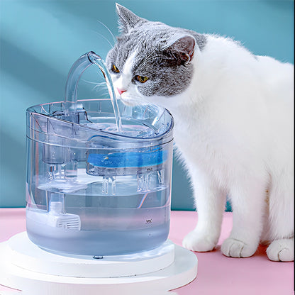 fontaine eau chat gris blanc