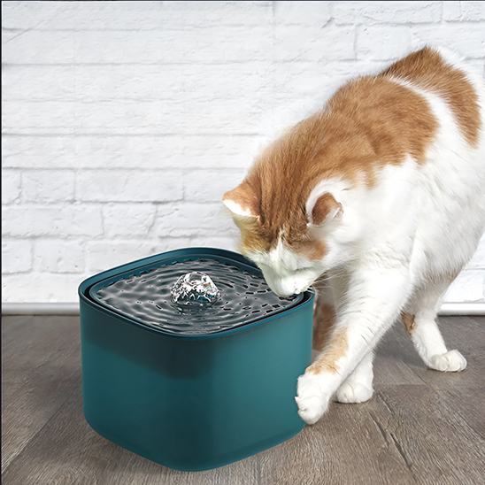 fontaine eau chat verte