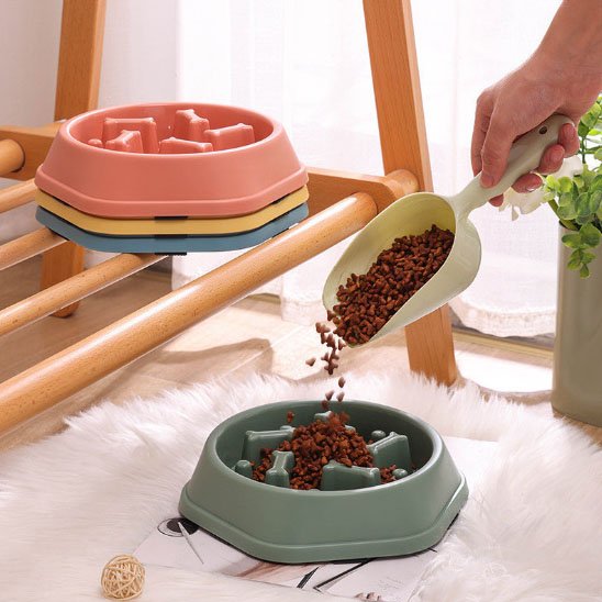 gamelle anti glouton chat 4 couleurs