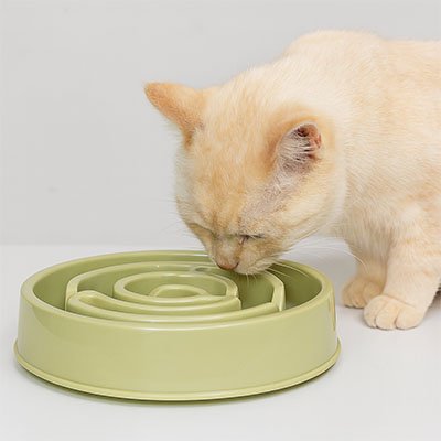 gamelle anti glouton chat beige