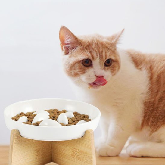 gamelle anti glouton chat blanc beige se pourlèche
