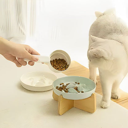 gamelle anti glouton chat blanc regarde croquettes