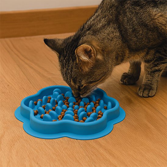 gamelle anti glouton chat bleu mange