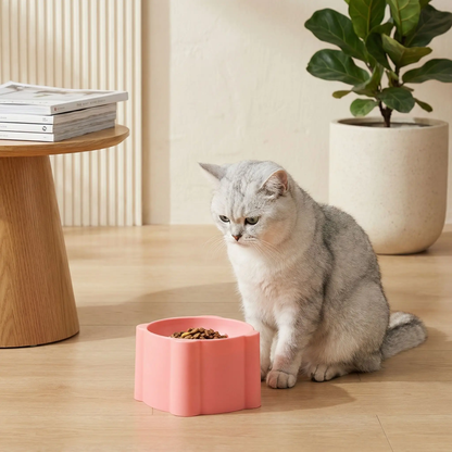 gamelle anti glouton chat gris clair