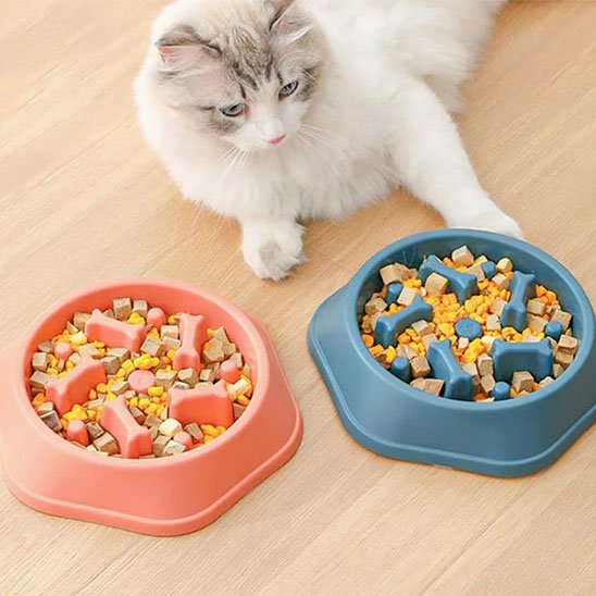 gamelle anti glouton chat rose bleu