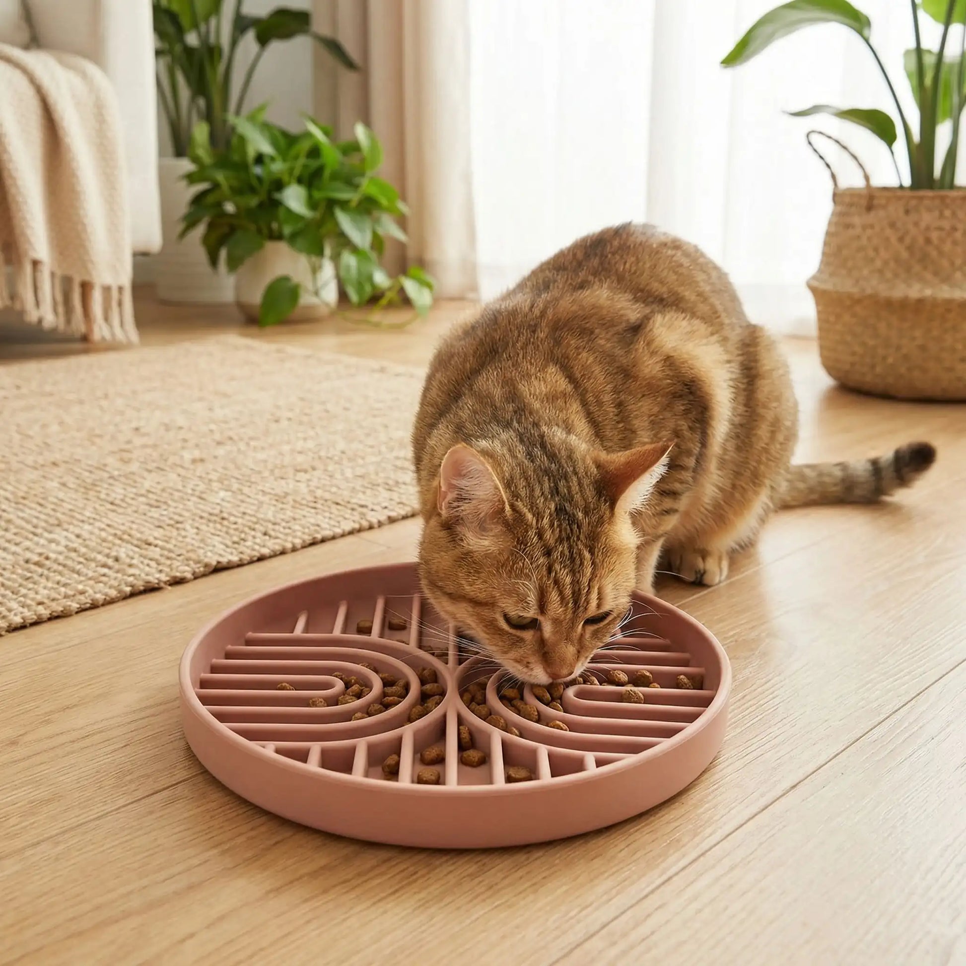 gamelle anti glouton chat tigré mange