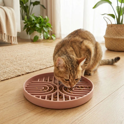 gamelle anti glouton chat tigré mange
