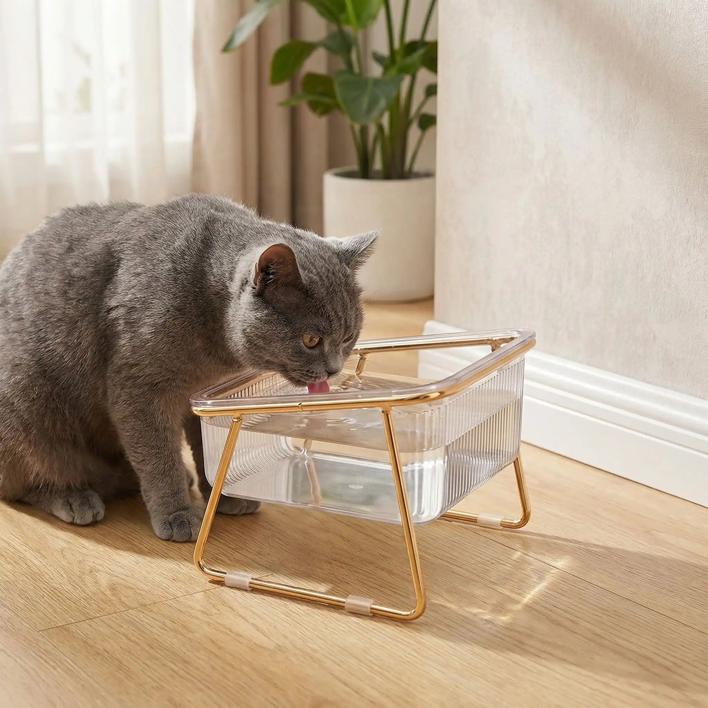 gamelle chat gris boit