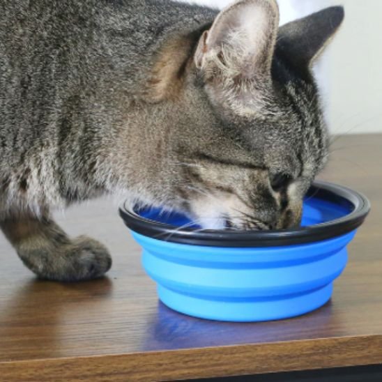gamelle chat pliable bleu