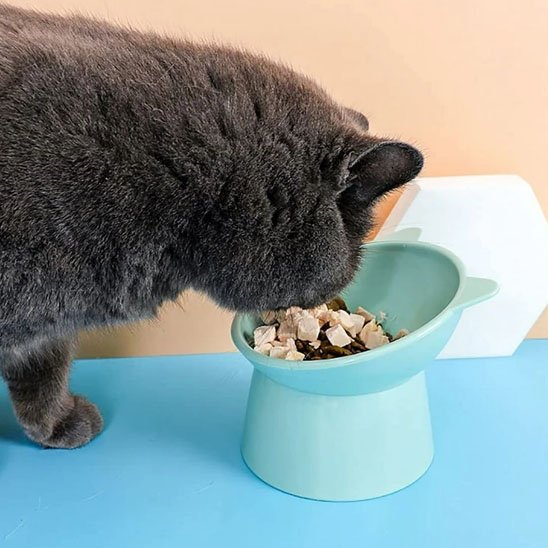 gamelle chat surelevee grise noir