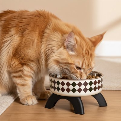 gamelle chat sureleveee noire roux