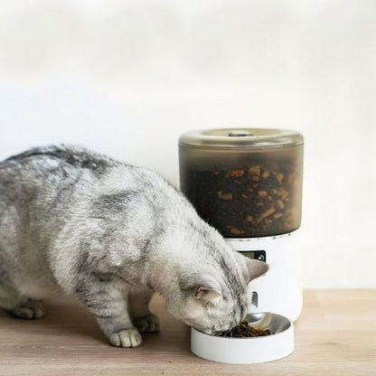 DISTRIBUTEUR AUTOMATIQUE CROQUETTES CHAT | WHISKERFEEDER™