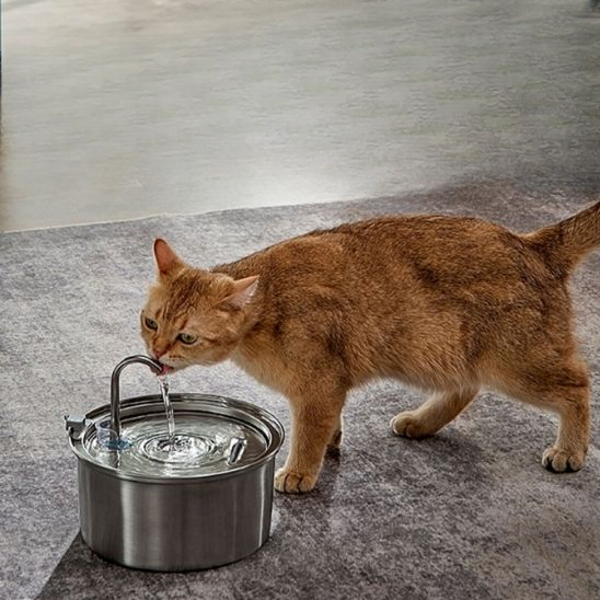 FONTAINE A EAU POUR CHAT - NEKOFLOW™